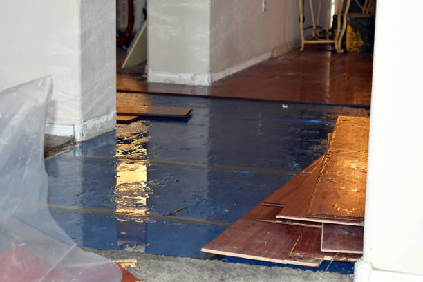 Professional Crawl Space Water Removal technician working in Copeland, FL
